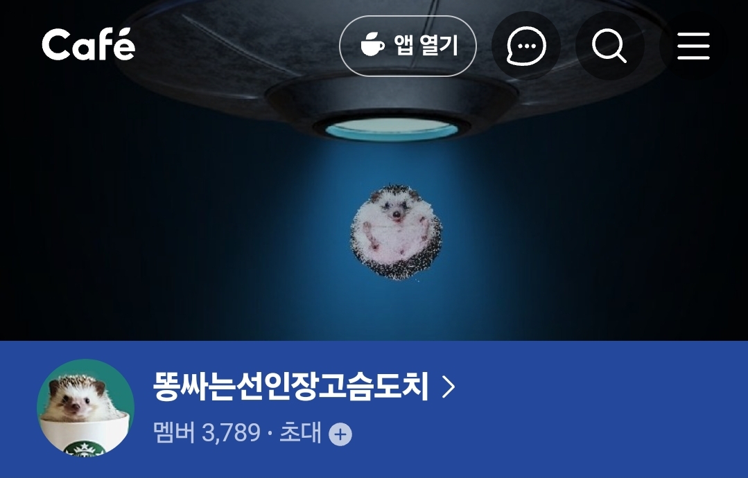 대표이미지