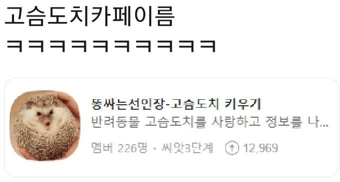 대표이미지