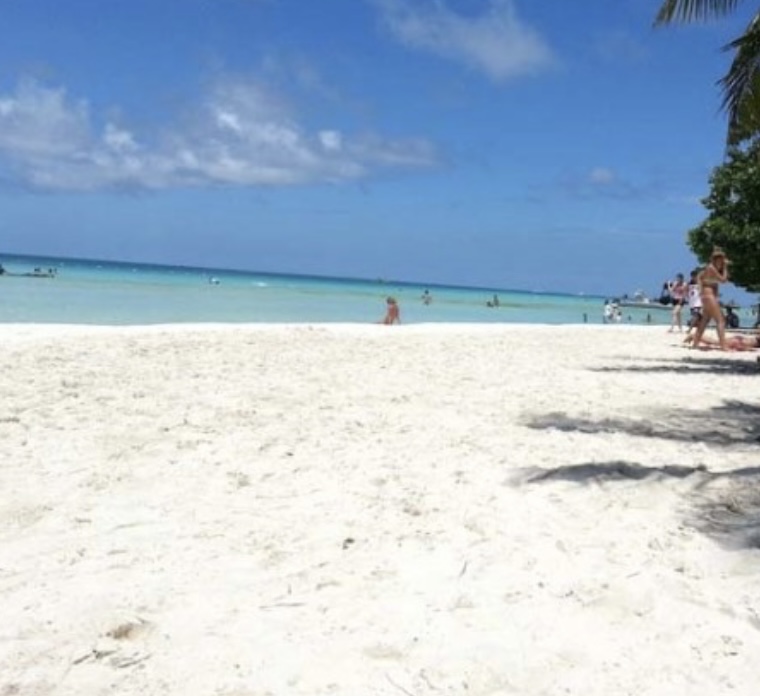 게시글 대표 이미지