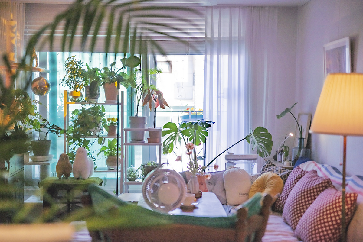 게시글 대표 이미지