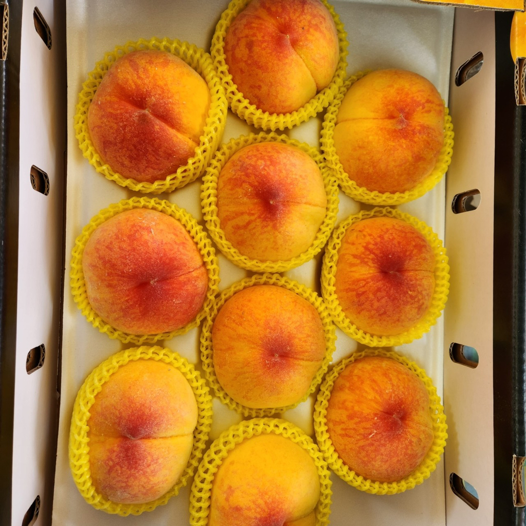 게시글 대표 이미지