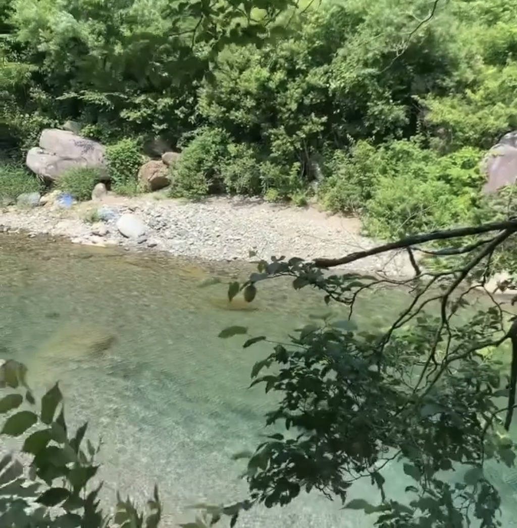 게시글 대표 이미지