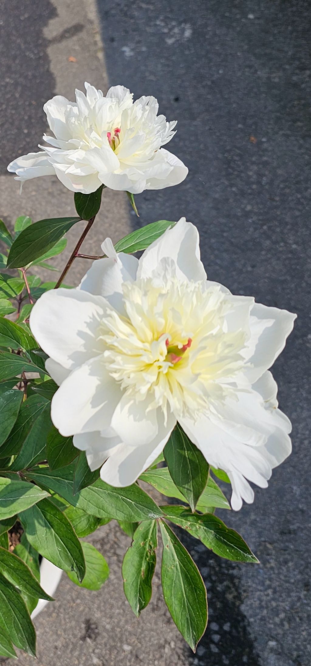 게시글 대표 이미지