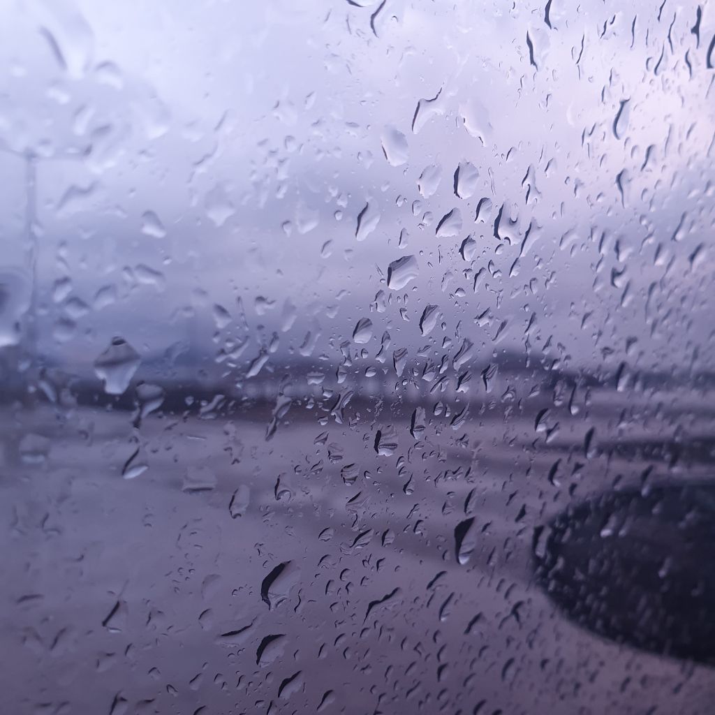 게시글 대표 이미지