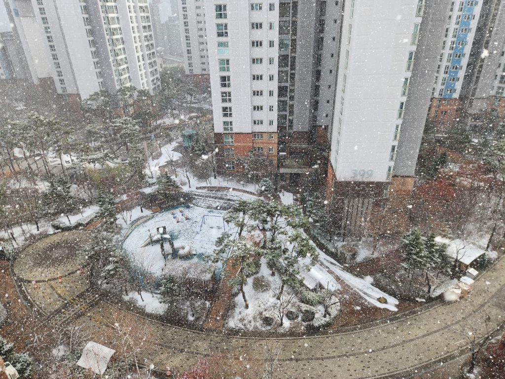 게시글 대표 이미지