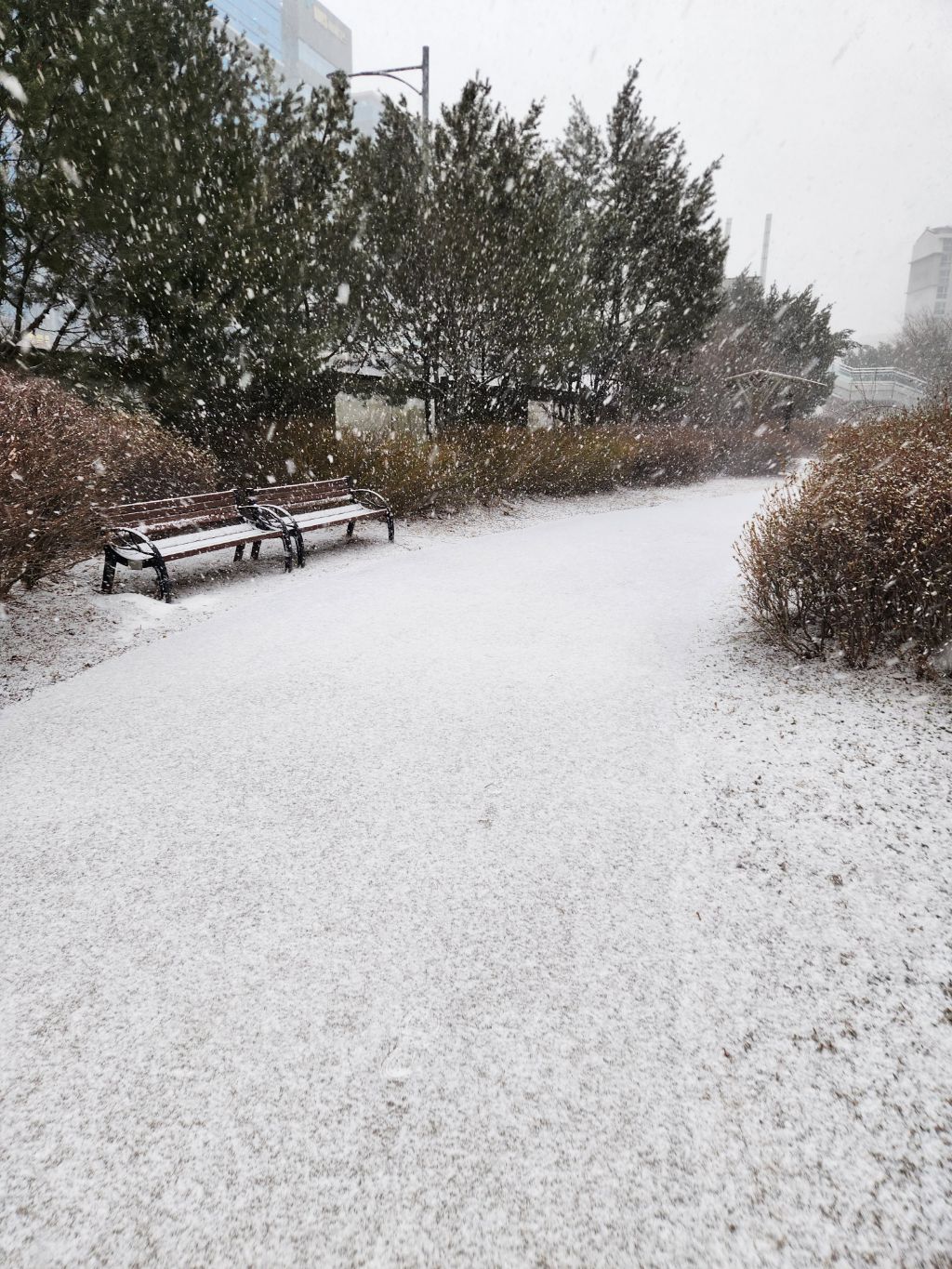 게시글 대표 이미지