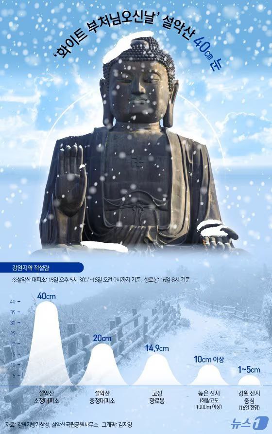 게시글 대표 이미지