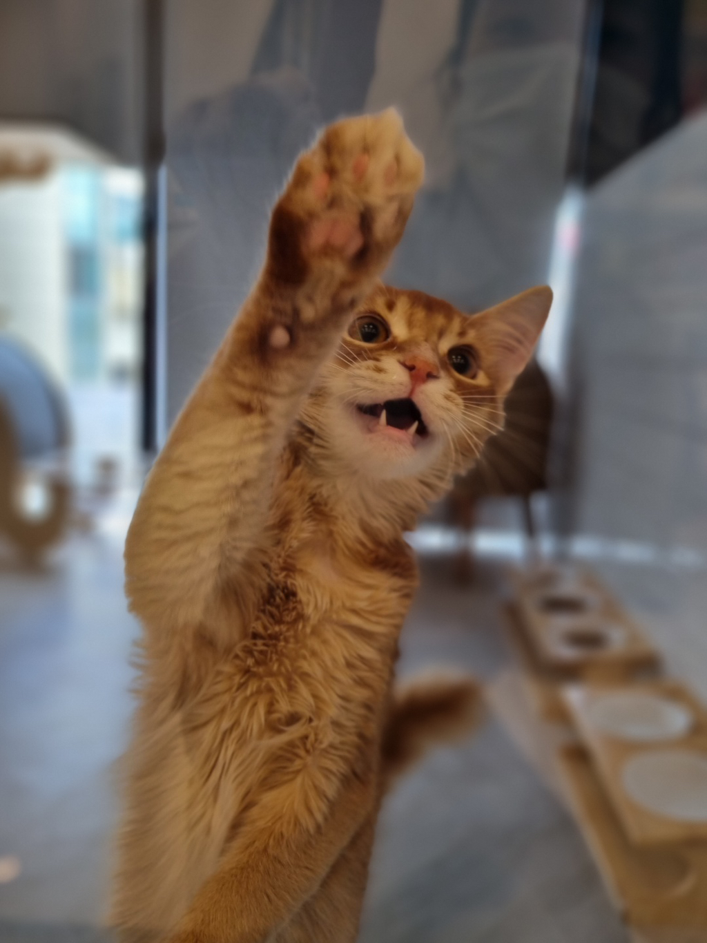 게시글 대표 이미지