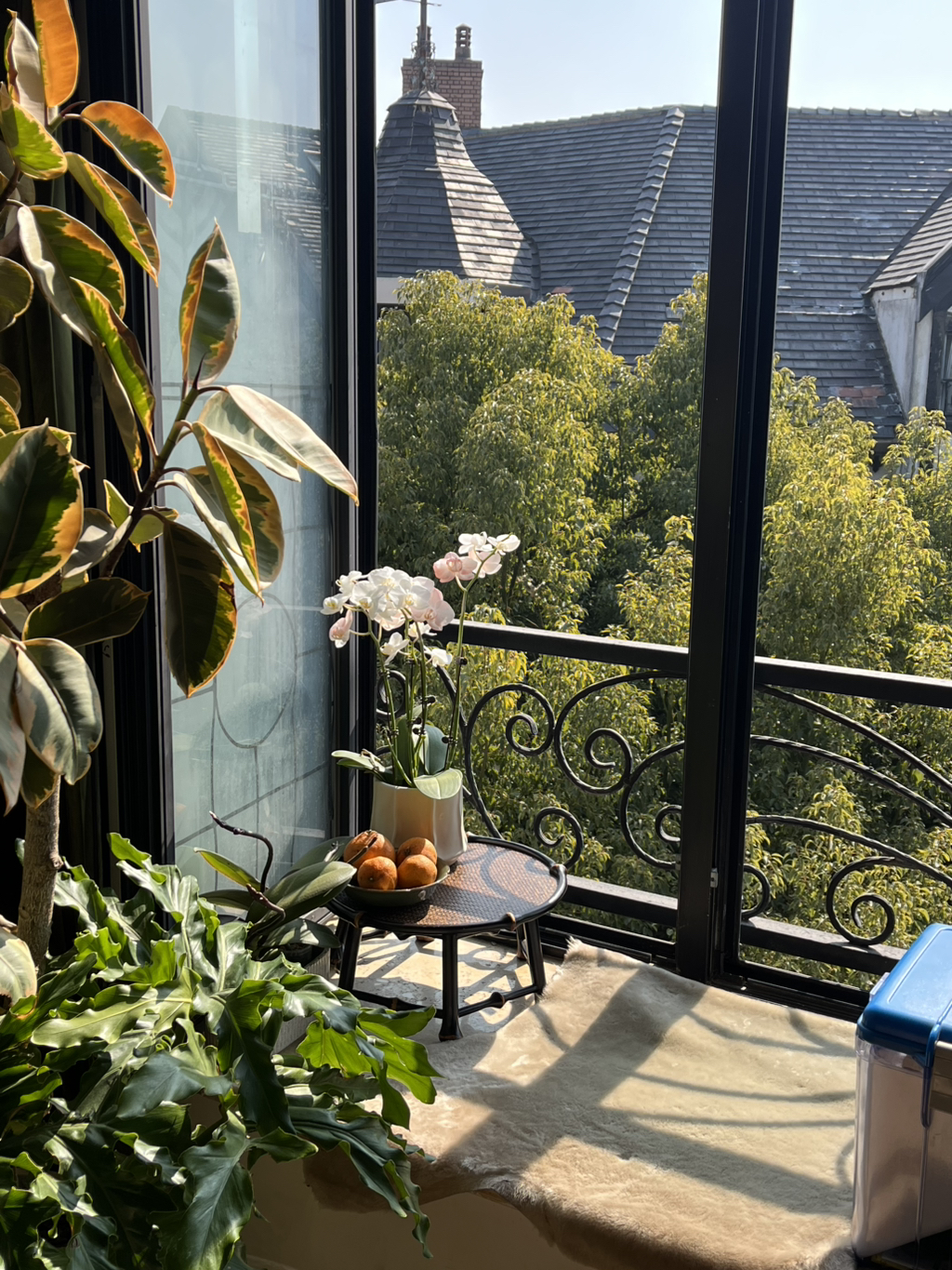 게시글 대표 이미지