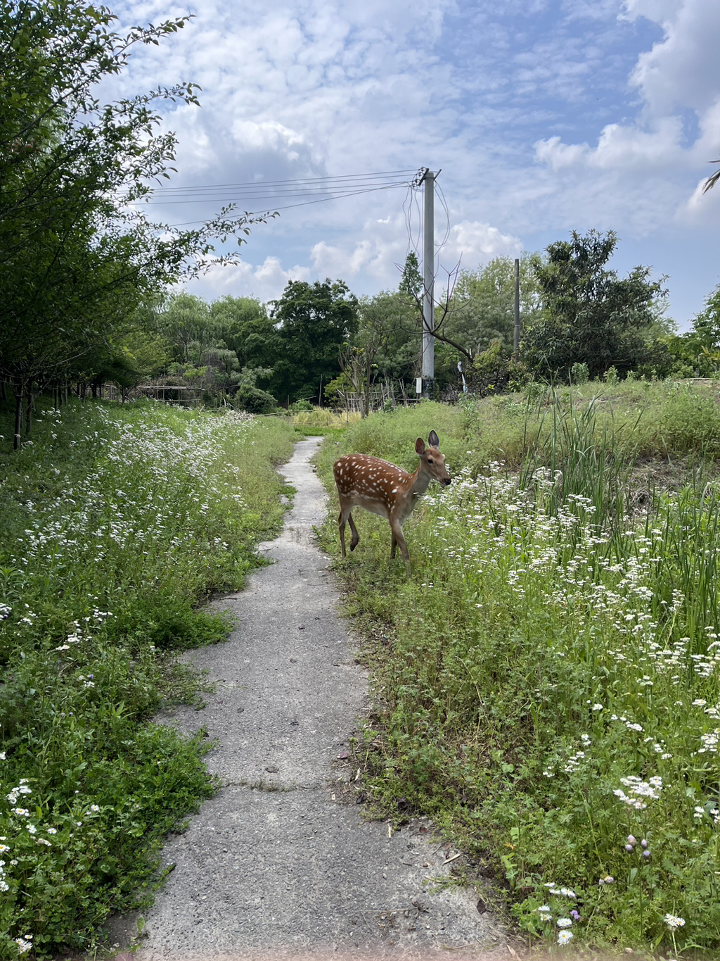 게시글 대표 이미지