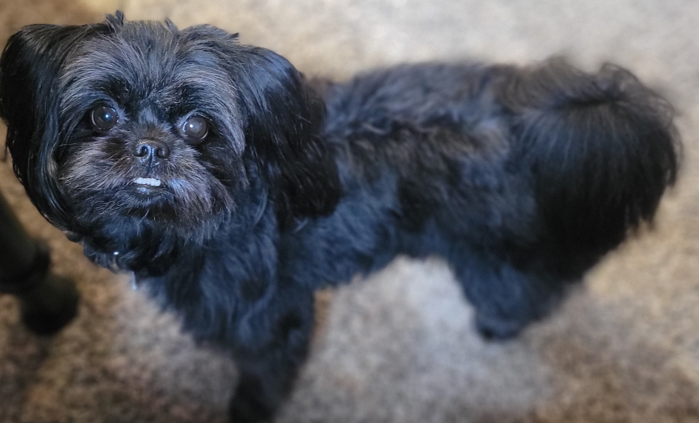 게시글 대표 이미지