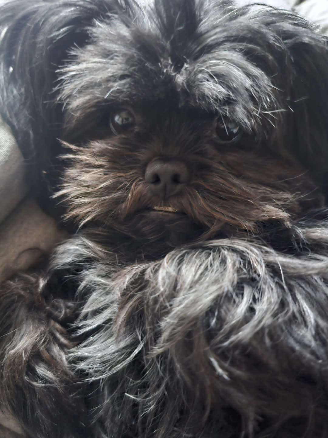 게시글 대표 이미지