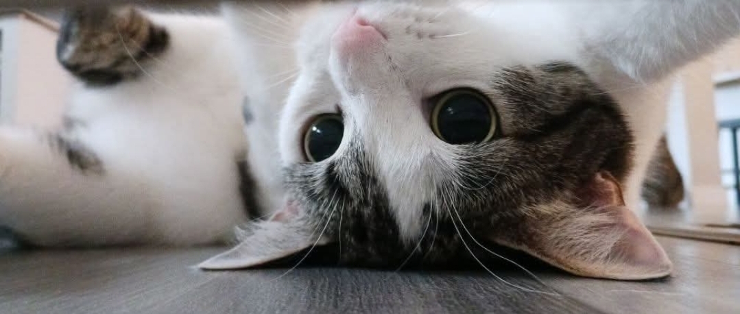 게시글 대표 이미지