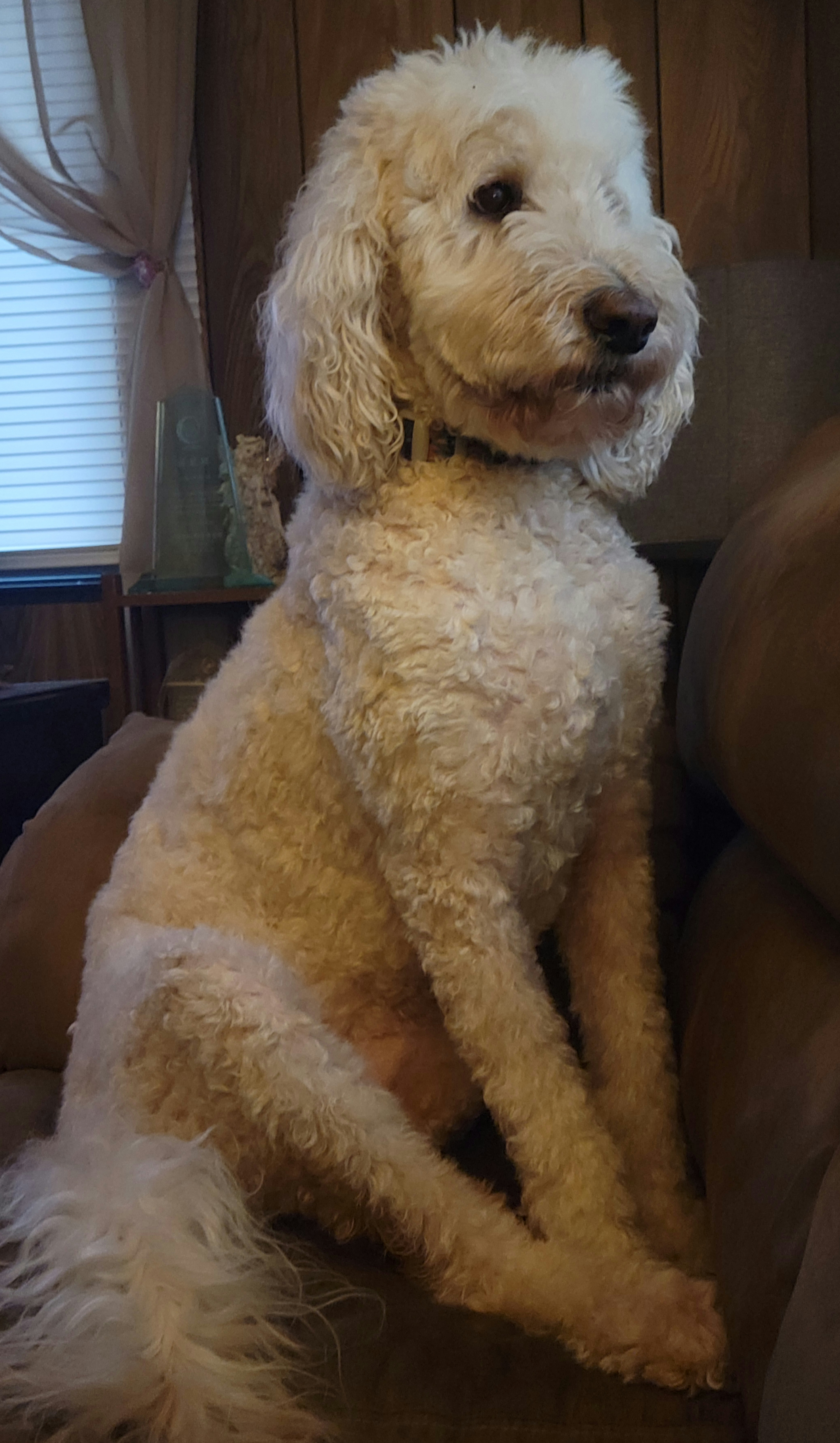 게시글 대표 이미지