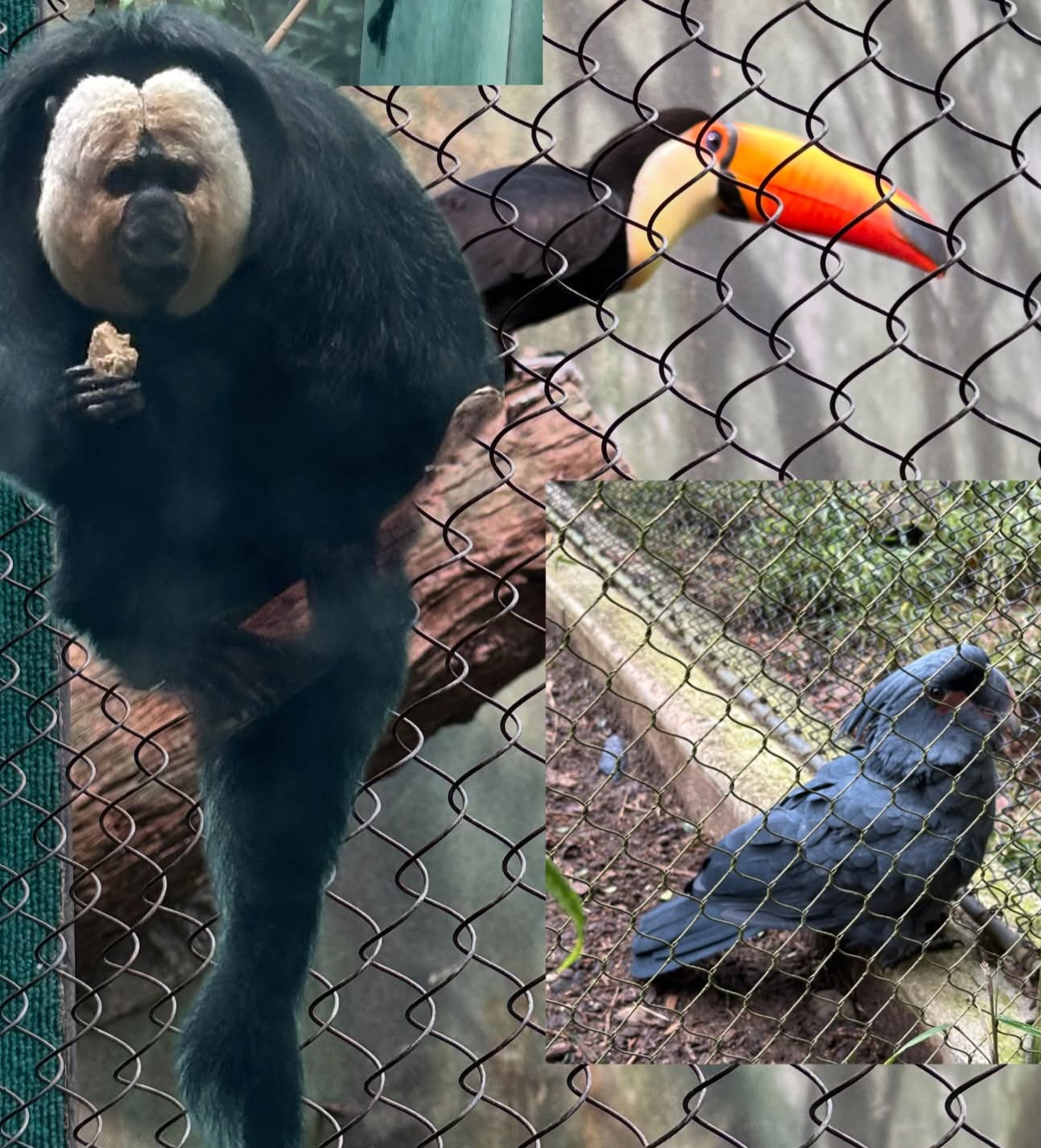 게시글 대표 이미지