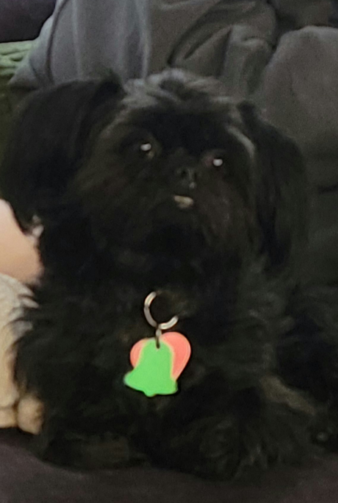 게시글 대표 이미지