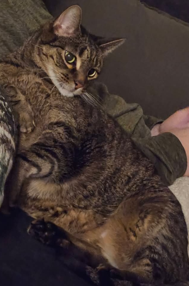 게시글 대표 이미지