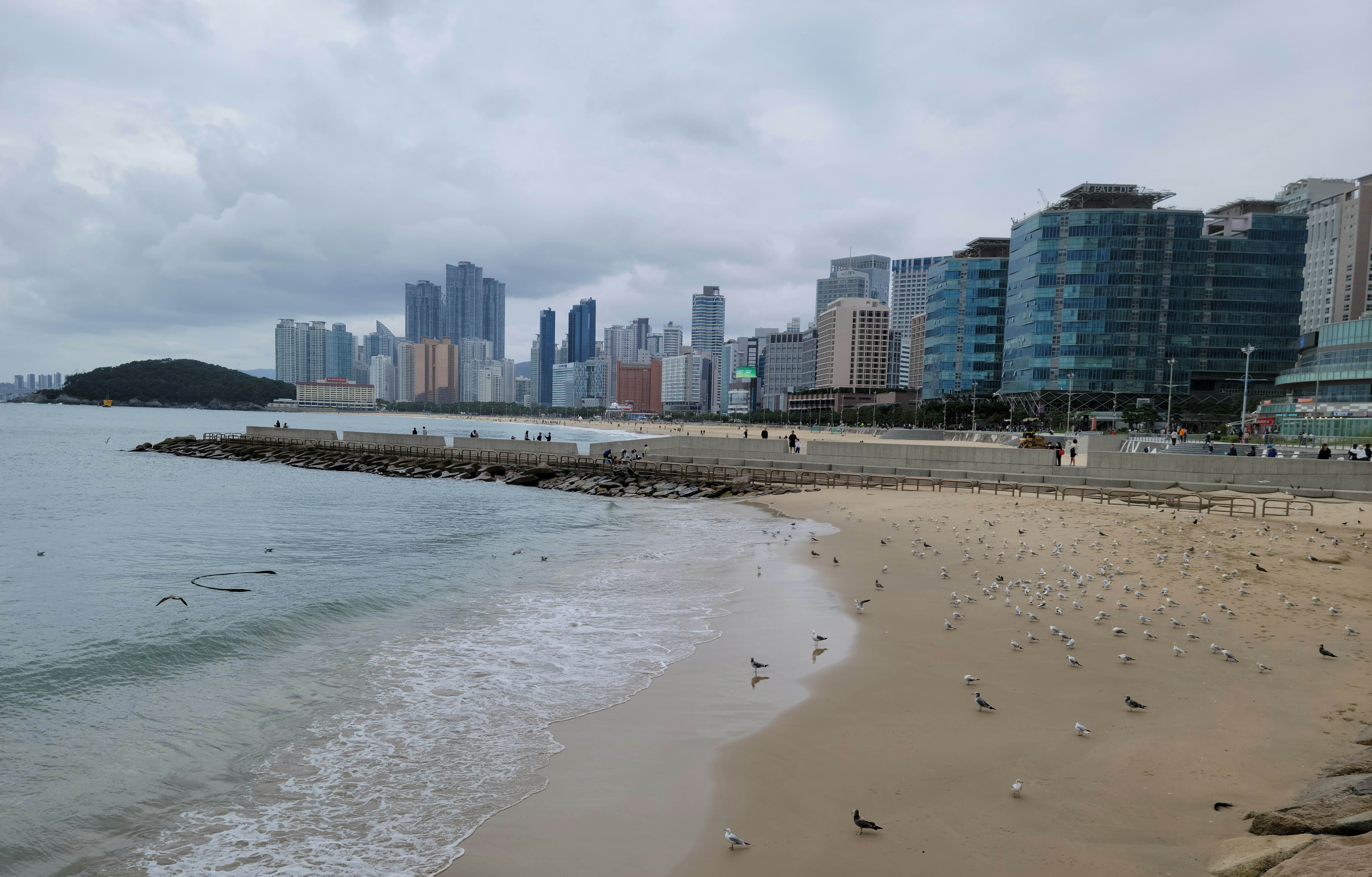 게시글 대표 이미지