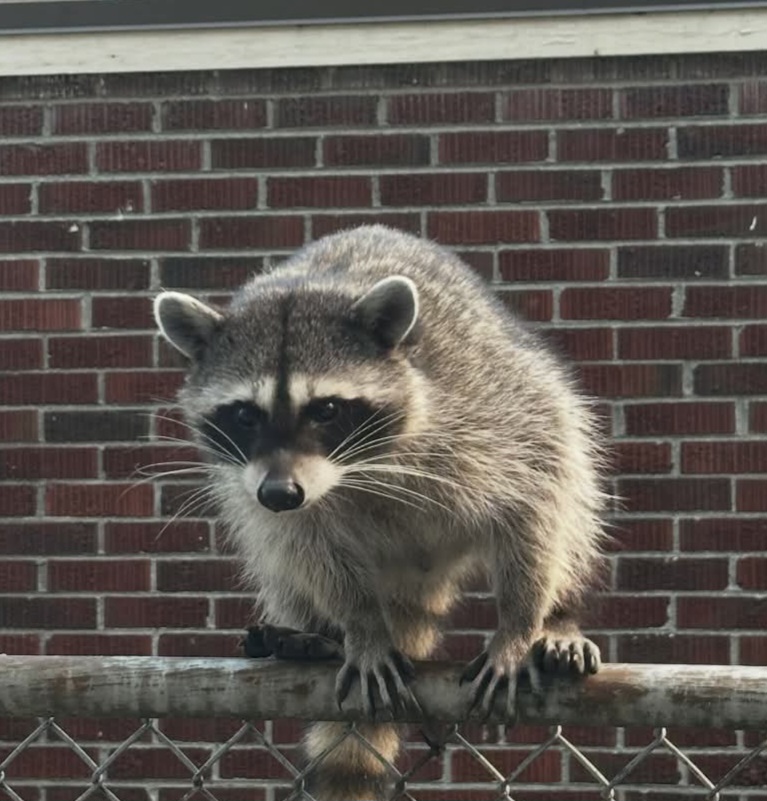 게시글 대표 이미지