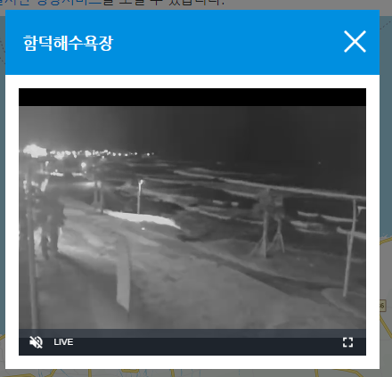 게시글 대표 이미지