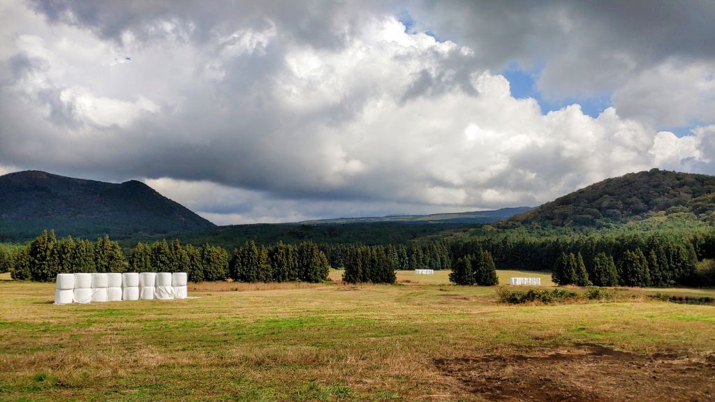 게시글 대표 이미지