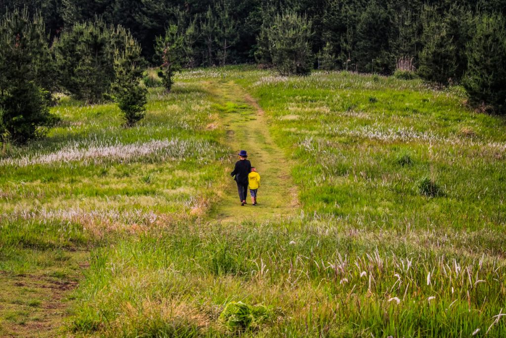 게시글 대표 이미지