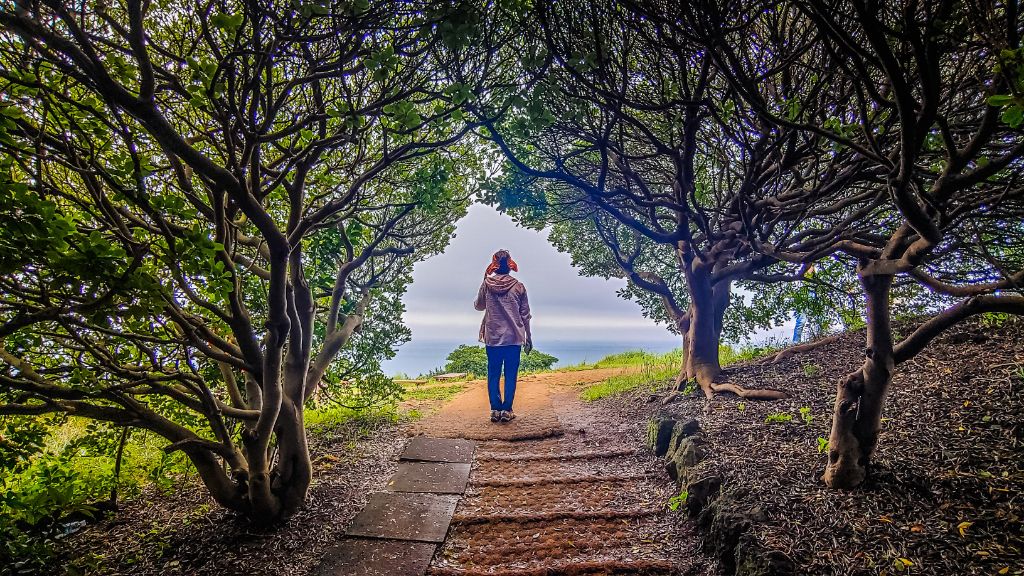 게시글 대표 이미지