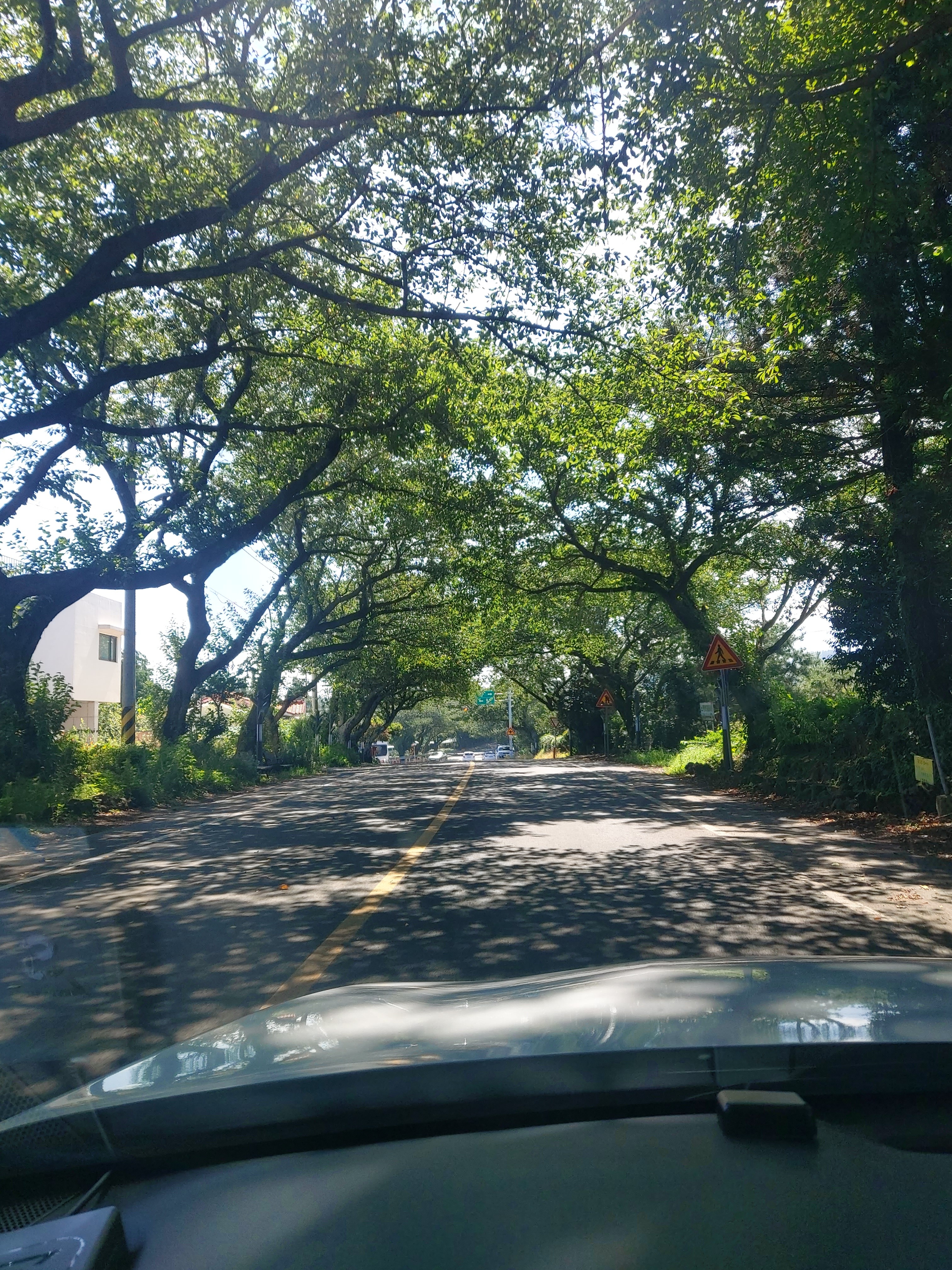 게시글 대표 이미지