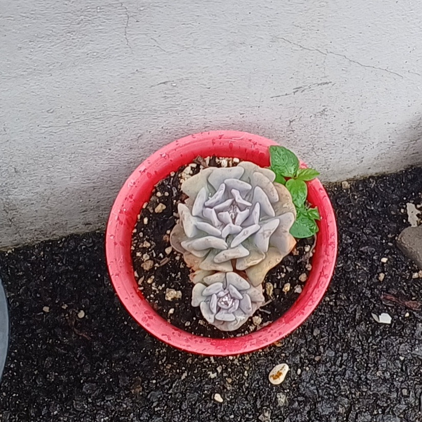 게시글 대표 이미지