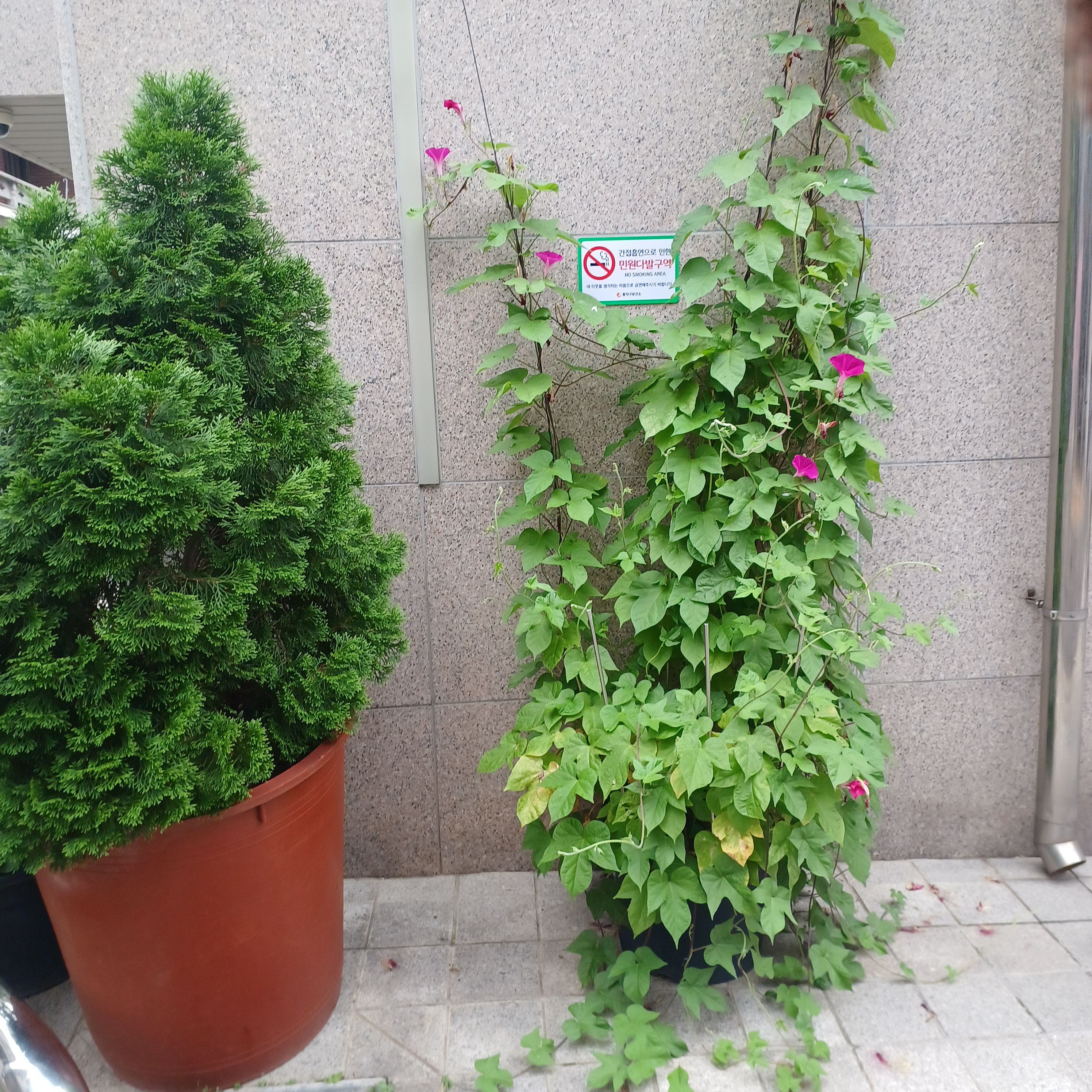 게시글 대표 이미지