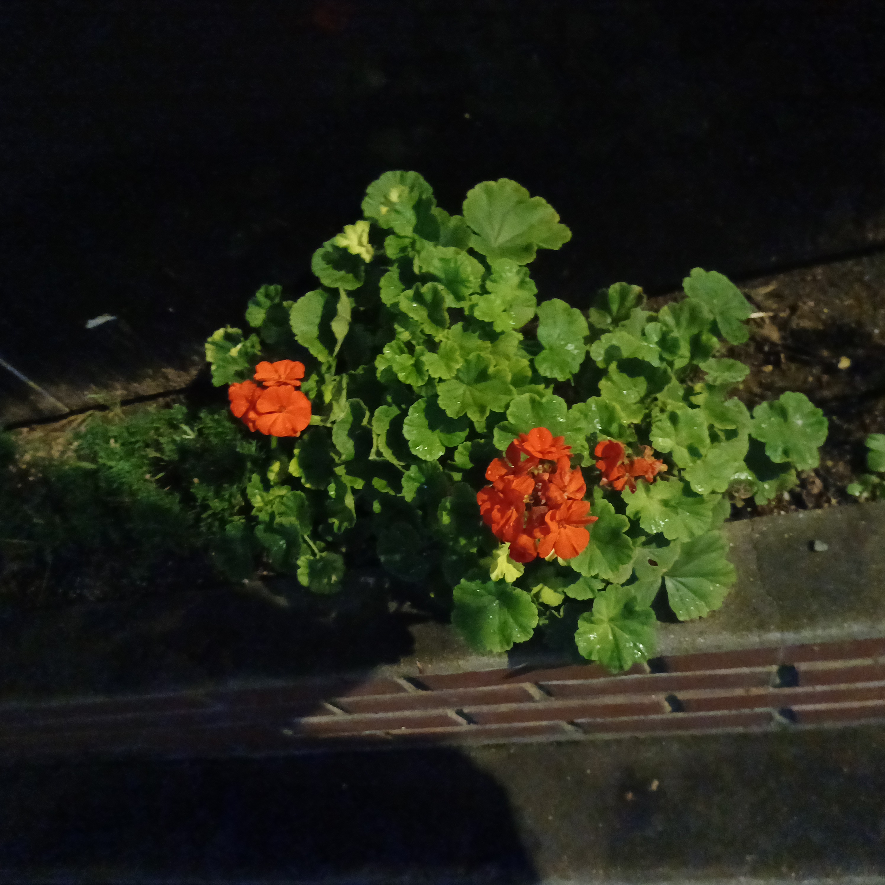 게시글 대표 이미지