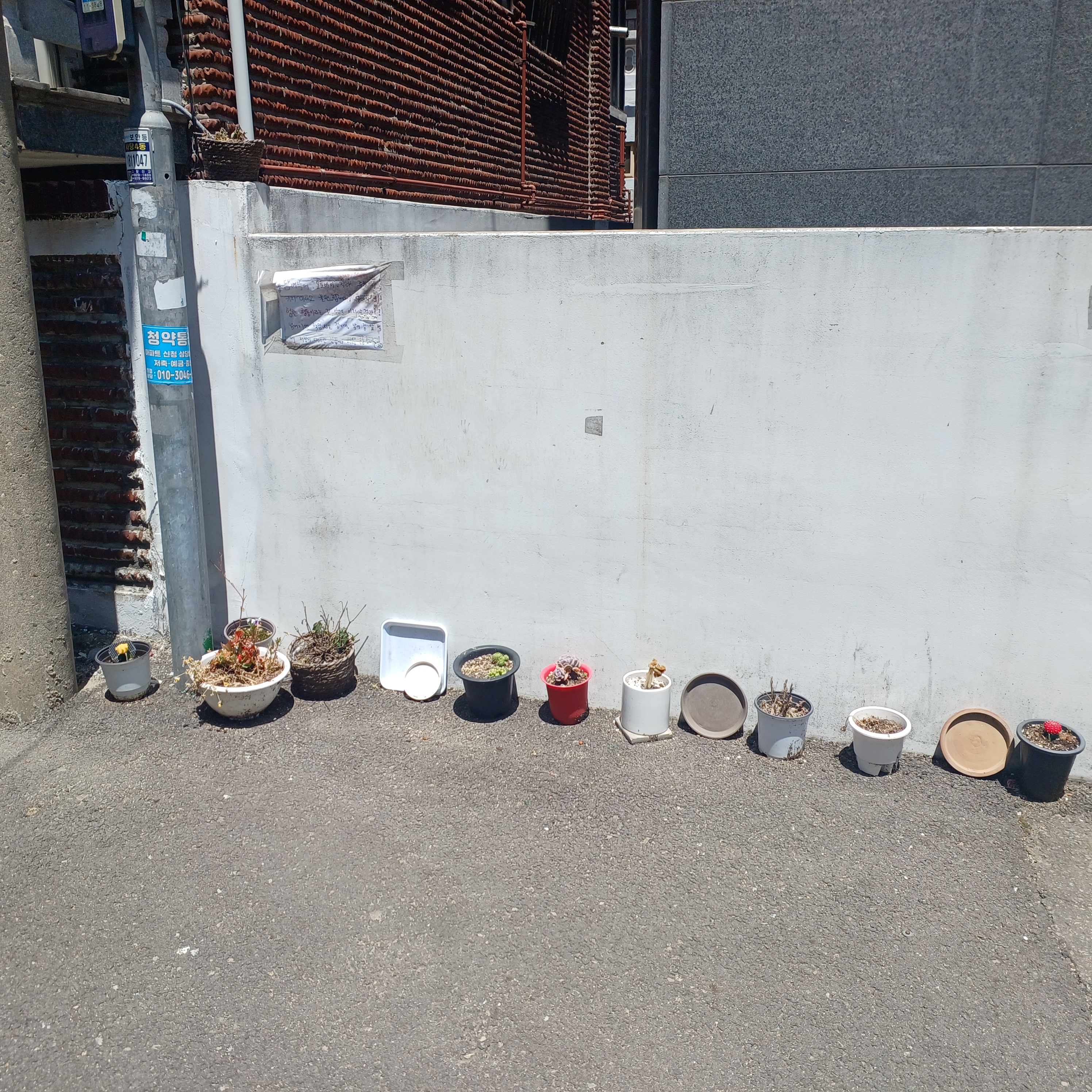 게시글 대표 이미지