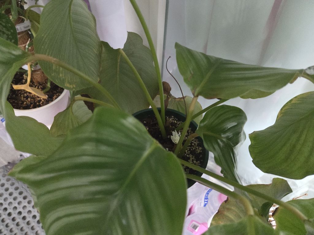 게시글 대표 이미지