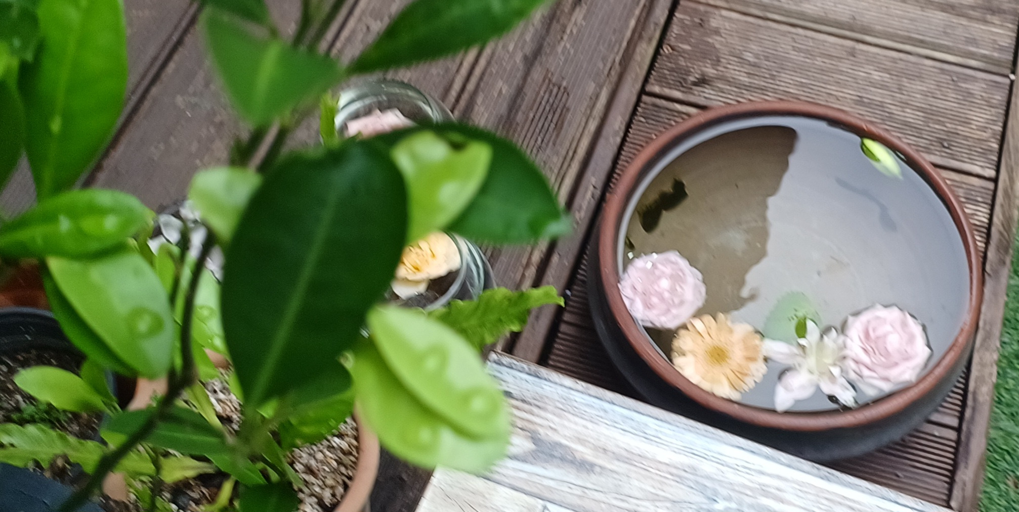 게시글 대표 이미지