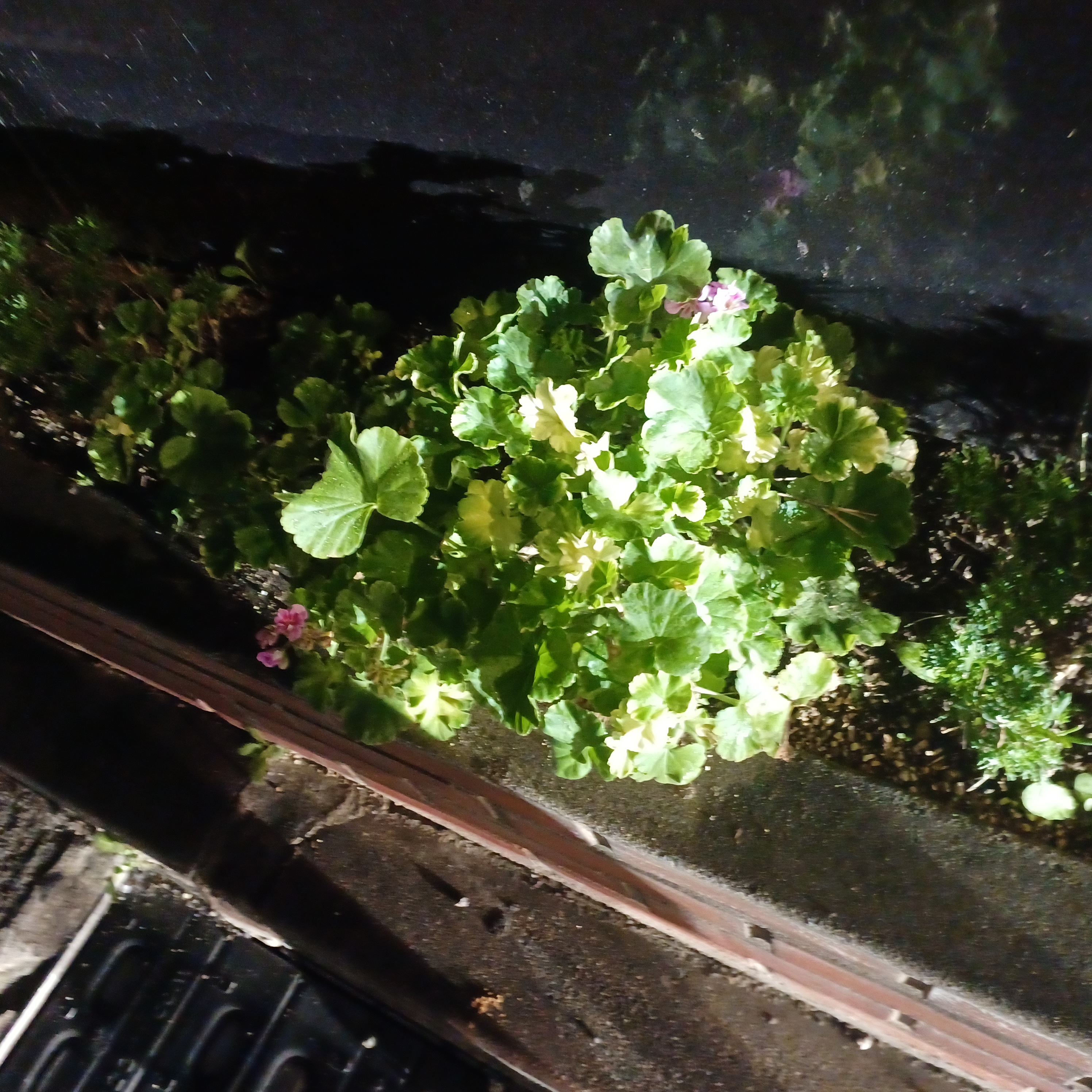 게시글 대표 이미지