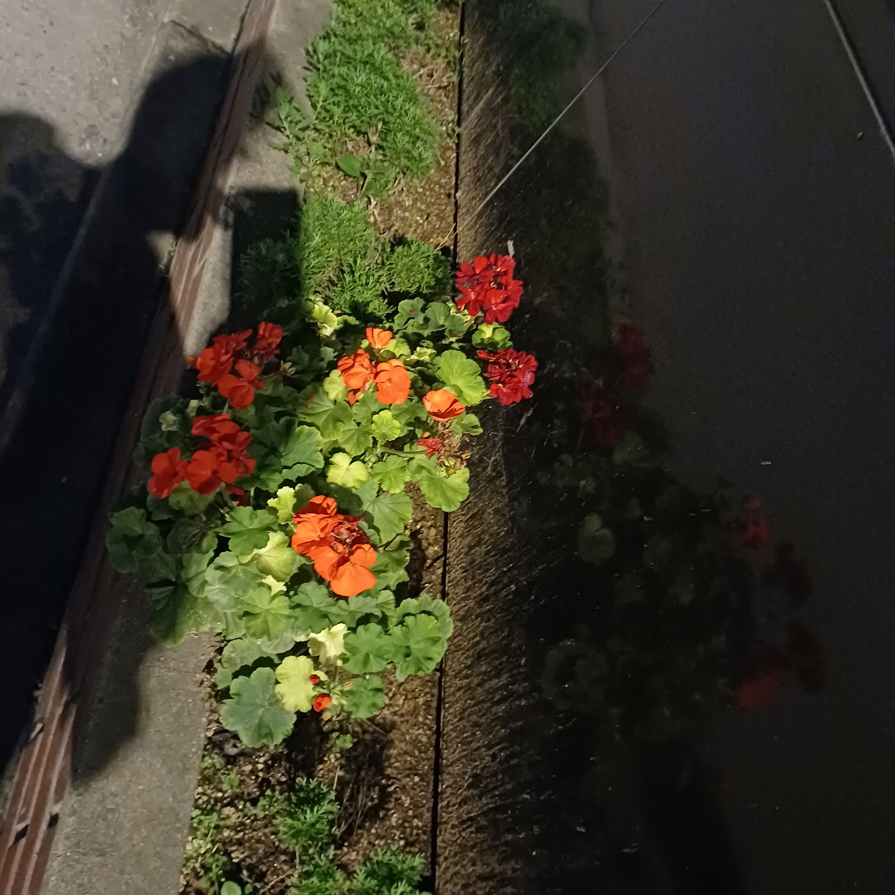 게시글 대표 이미지