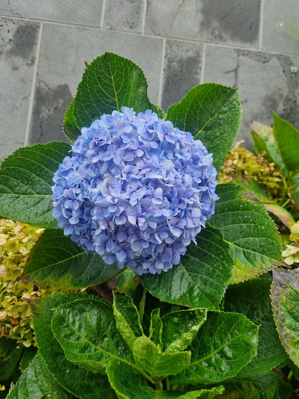 게시글 대표 이미지