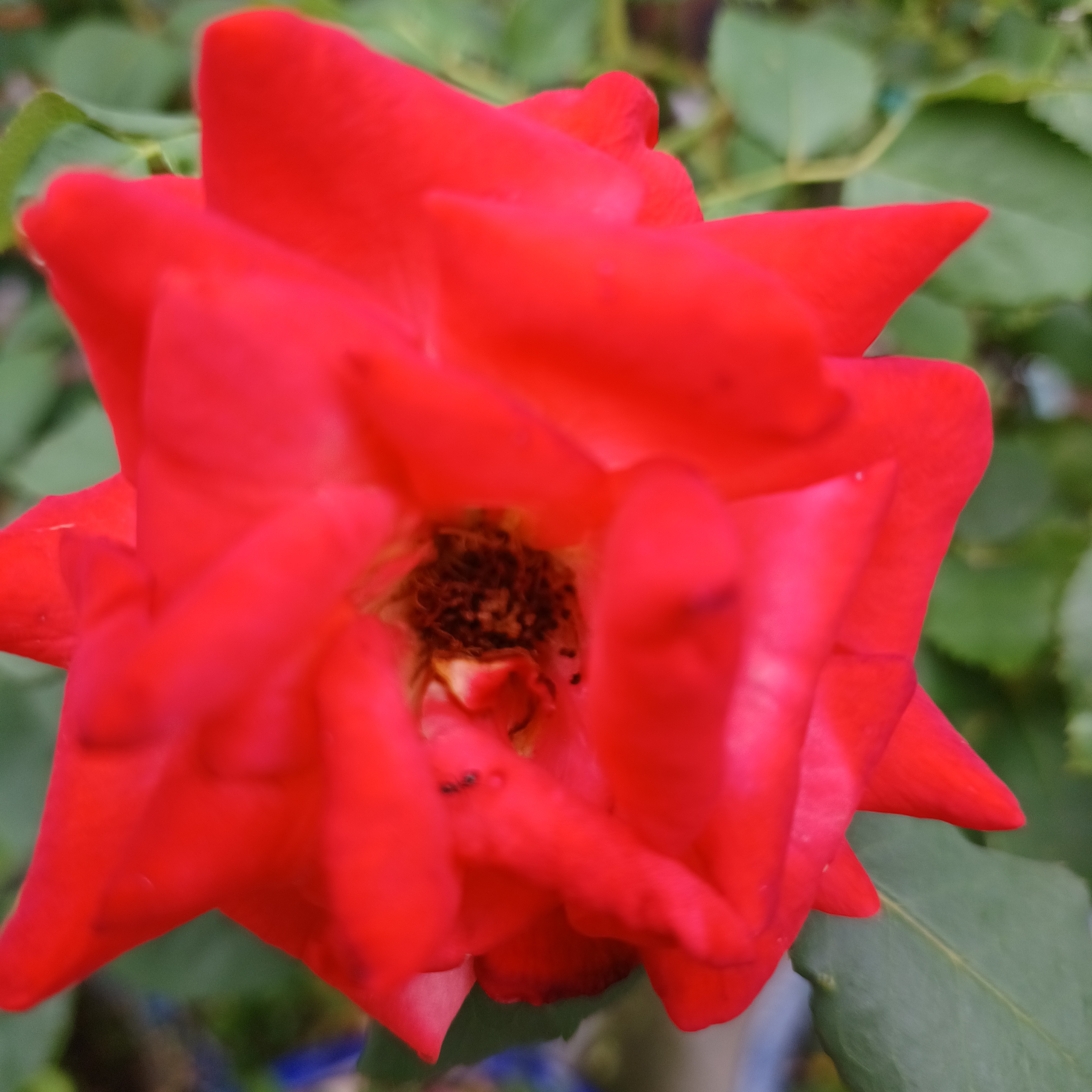 게시글 대표 이미지