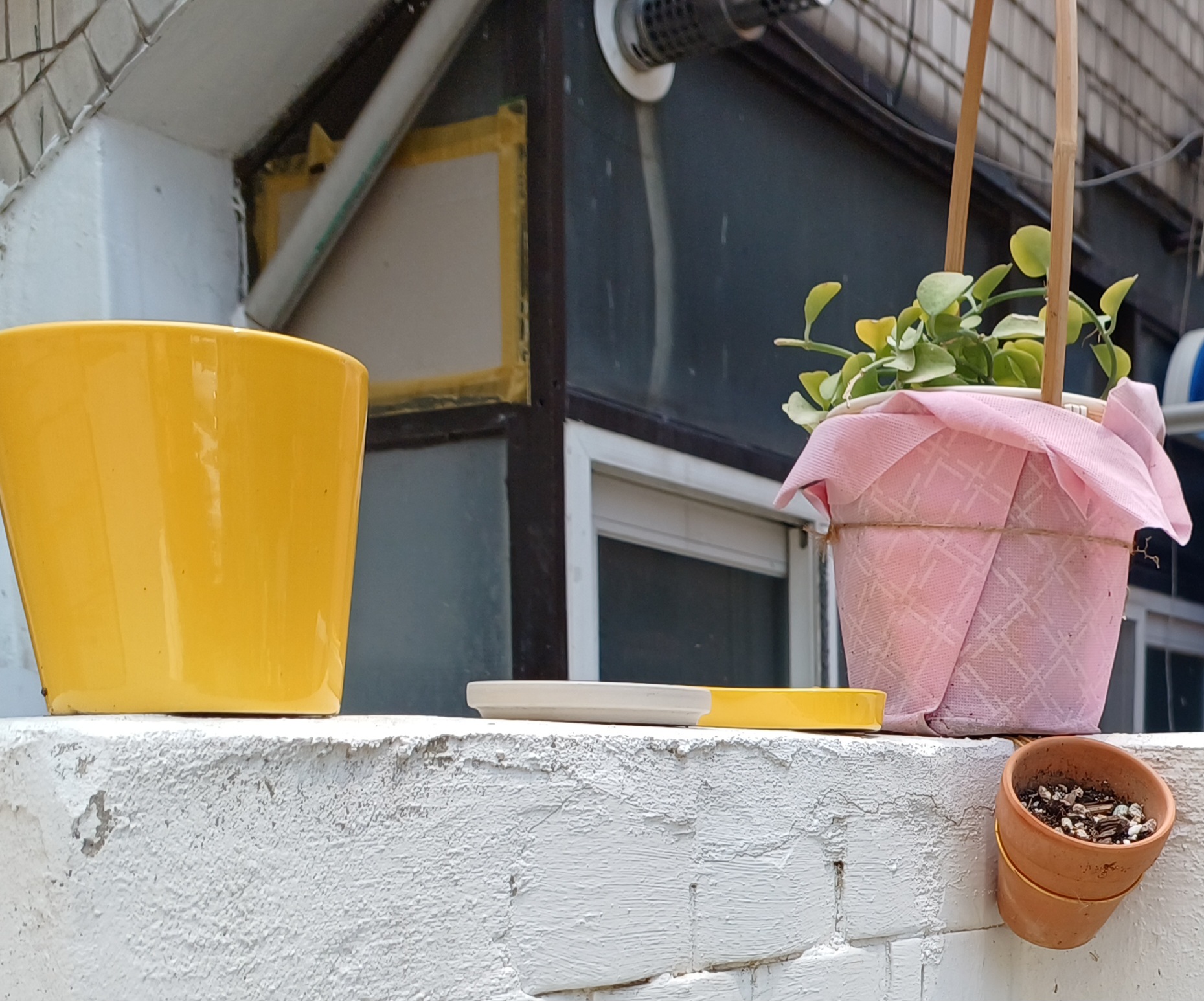 게시글 대표 이미지