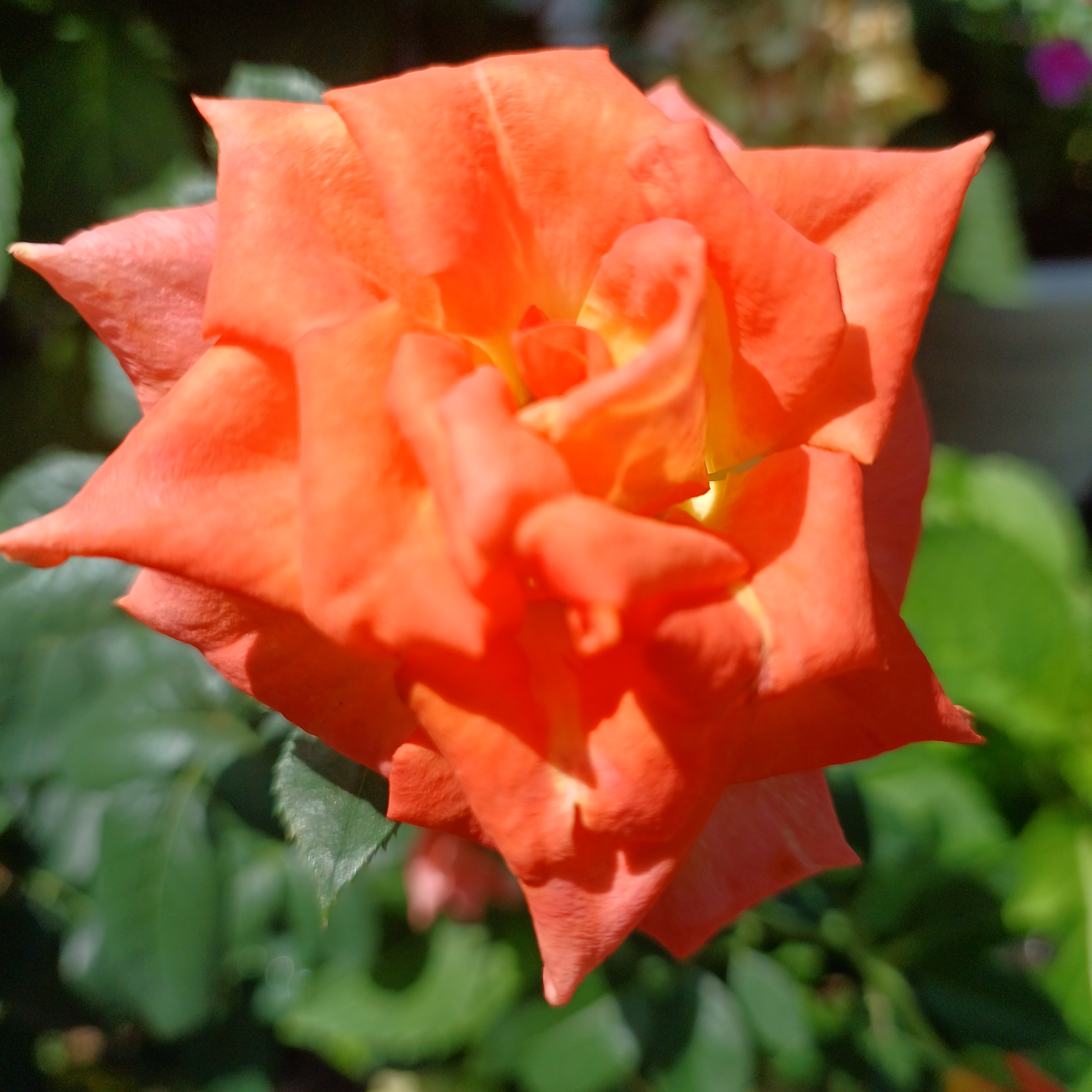 게시글 대표 이미지