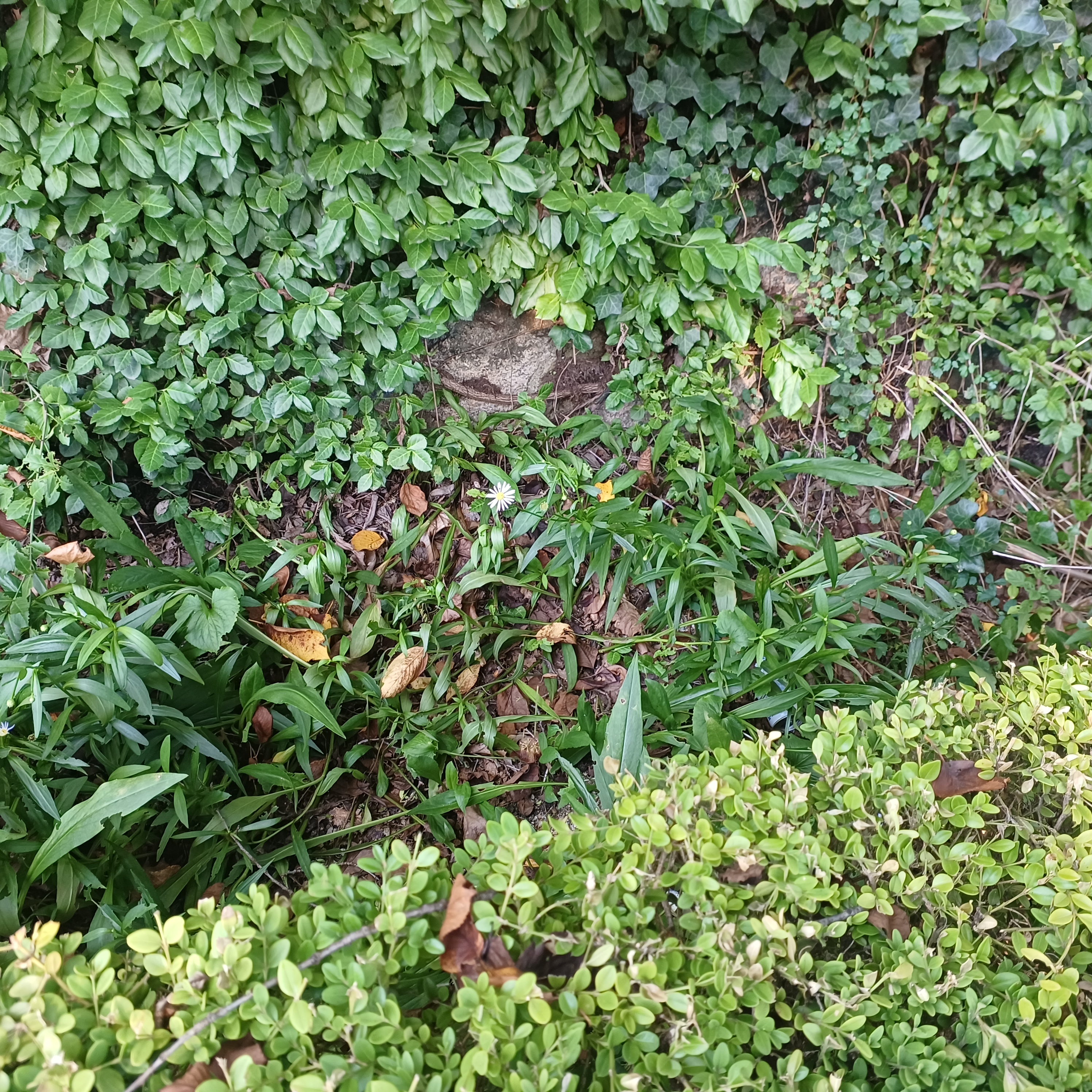 게시글 대표 이미지