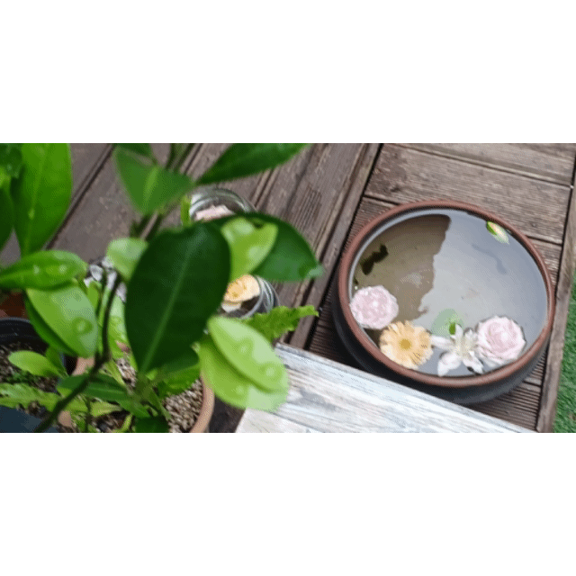 게시글 대표 이미지