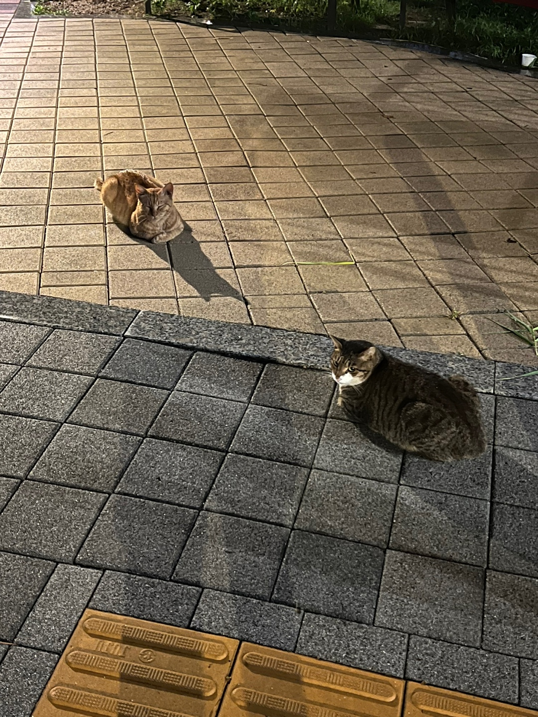 게시글 대표 이미지