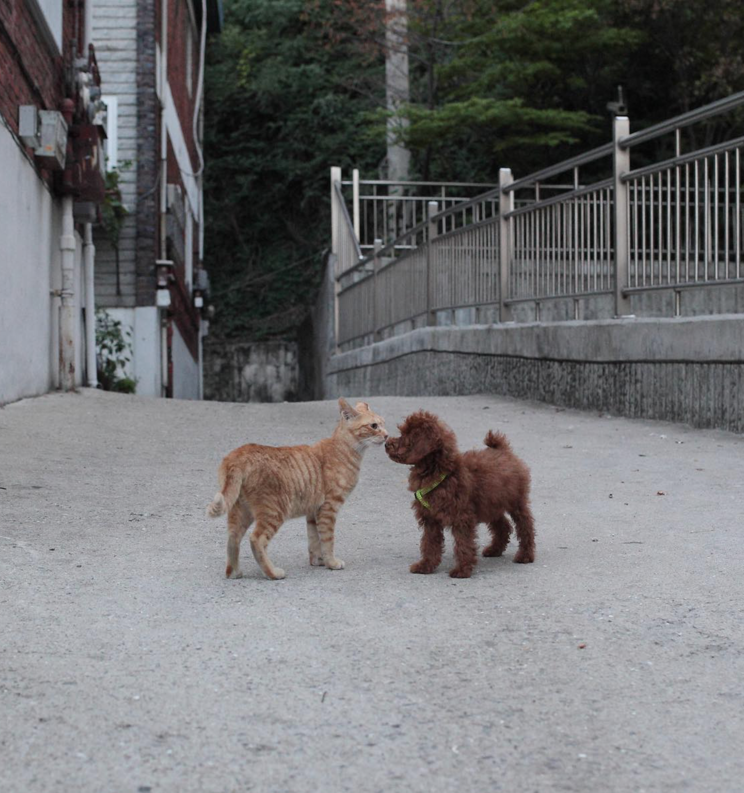 게시글 대표 이미지