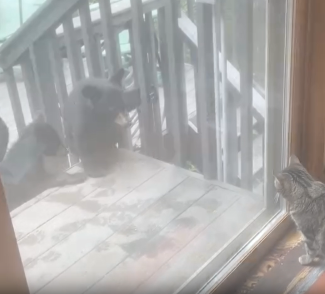 게시글 대표 이미지