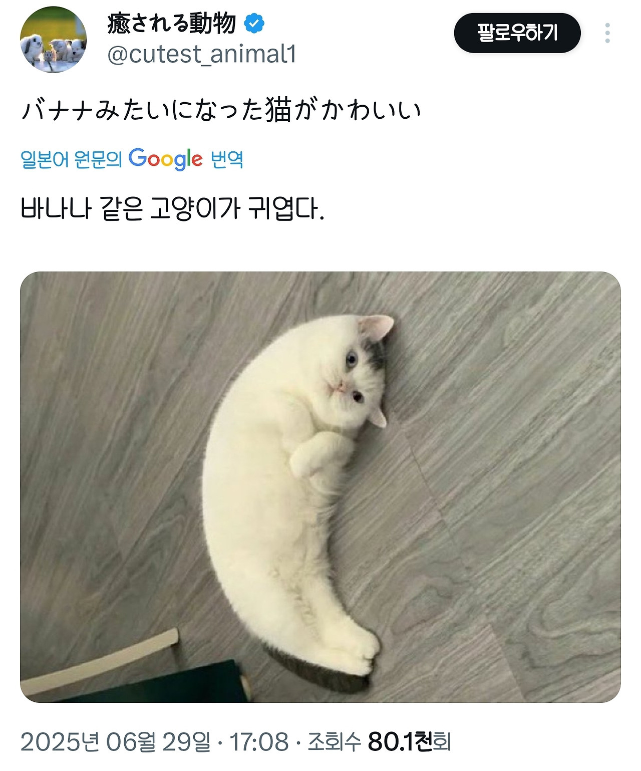 게시글 대표 이미지