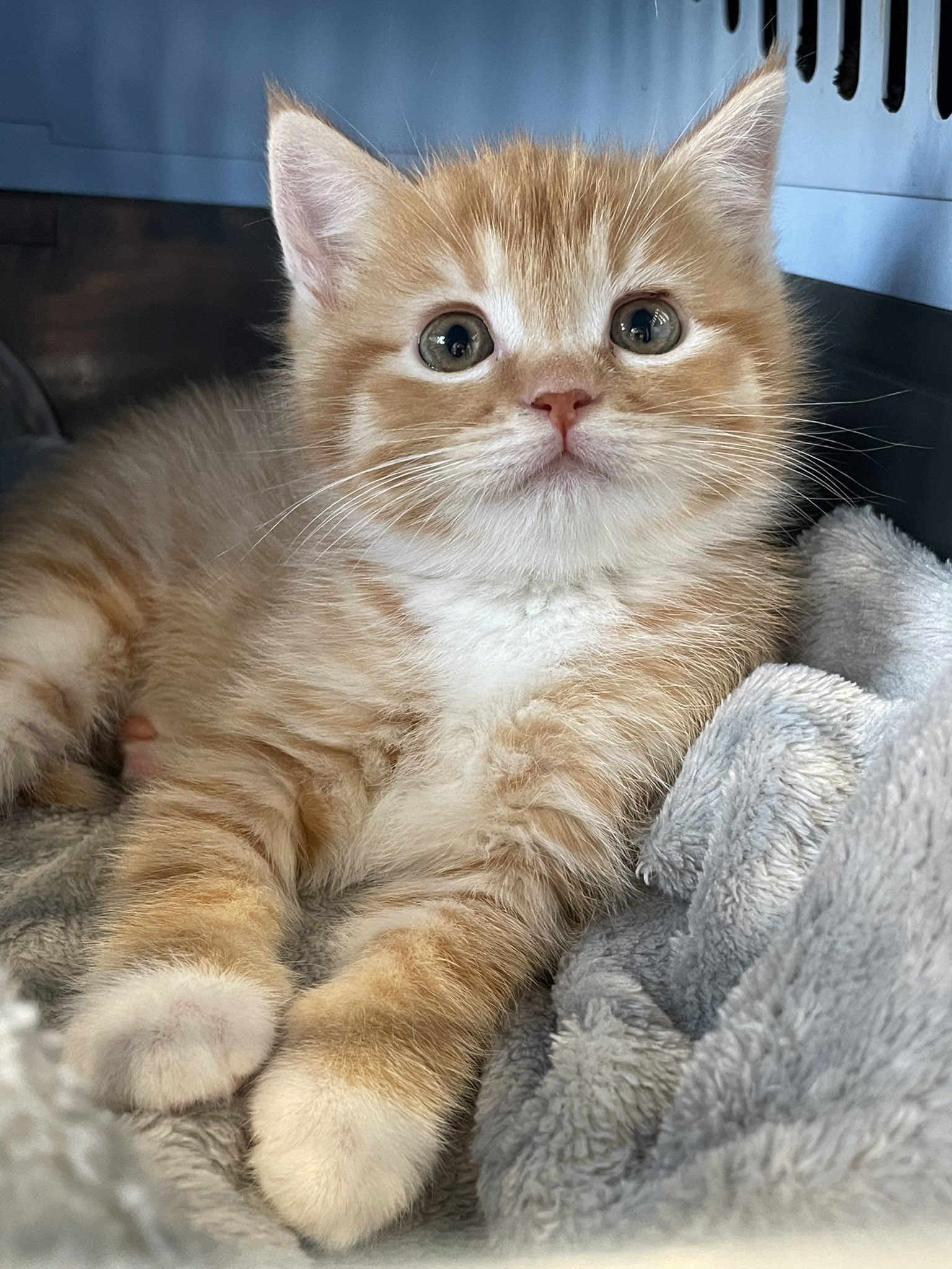 게시글 대표 이미지