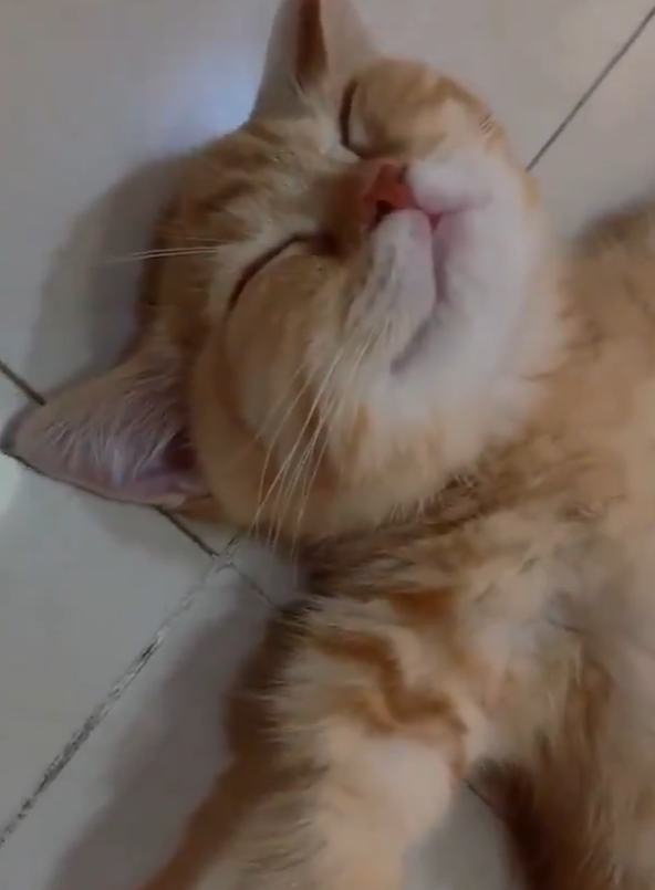 게시글 대표 이미지