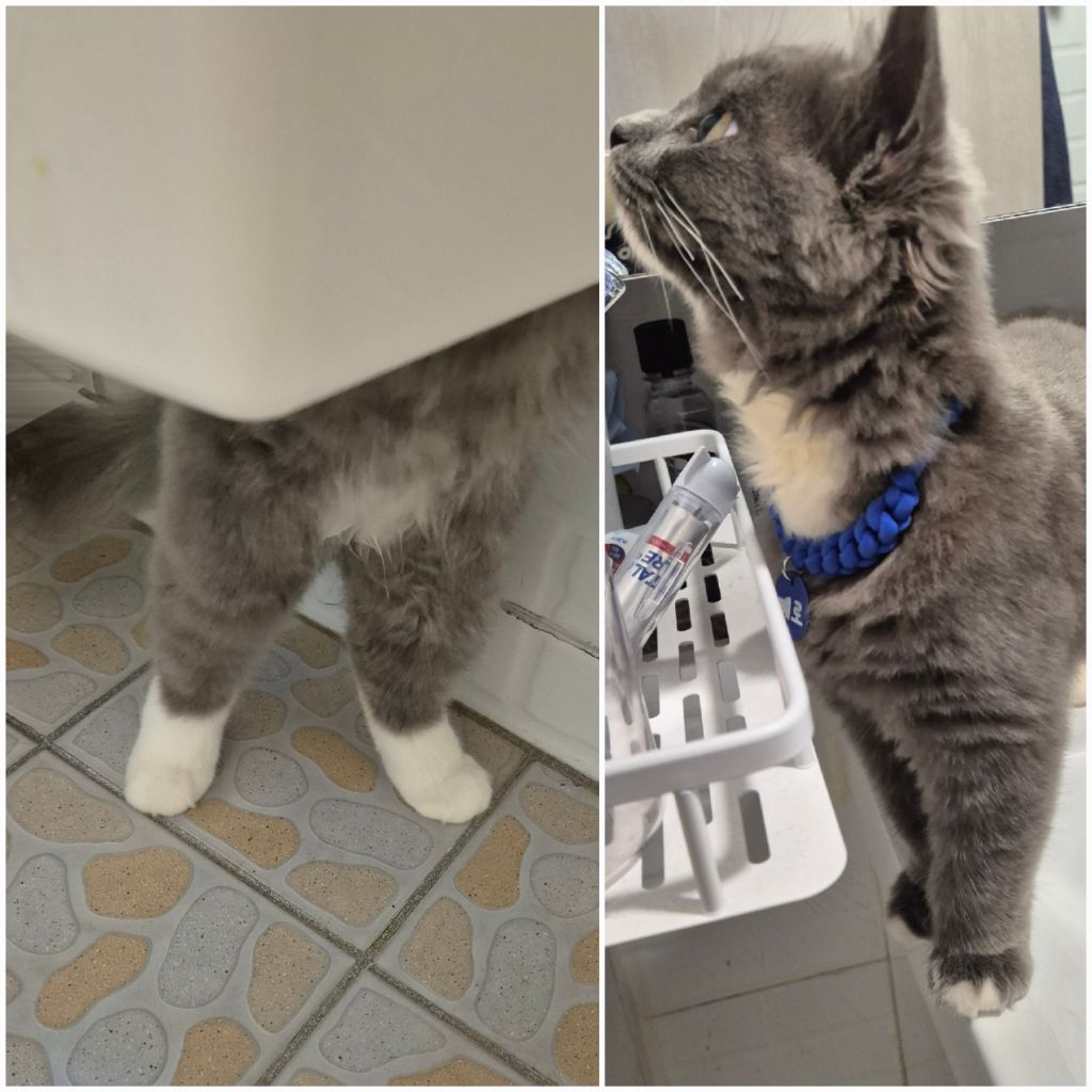 게시글 대표 이미지