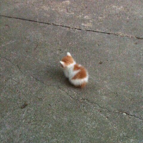 게시글 대표 이미지